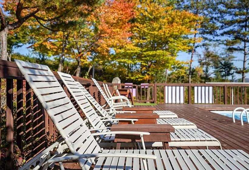 Pyeongchang Rocca And Delfino Pension