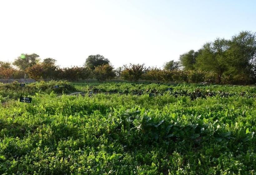 منتجع Bagh Serai