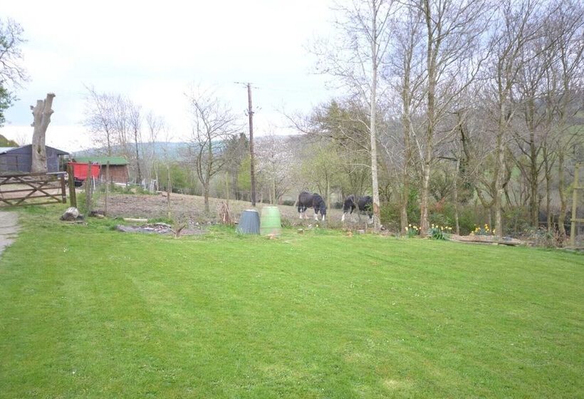 Stunning 2 Bed Cabin In Nantglyn Denbigh