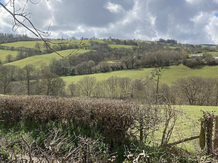 Stunning 2 Bed Cabin In Nantglyn Denbigh
