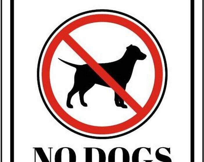 Stunning Forest Retreat Walk To Upper Truckee River!