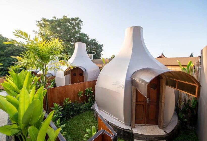Triyana Resort And Glamping