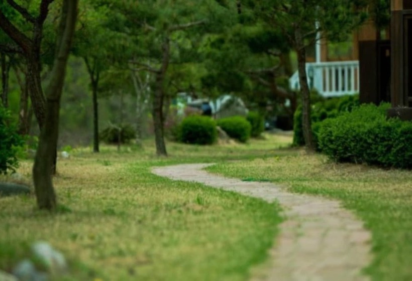 Yangyang Natural We Pension