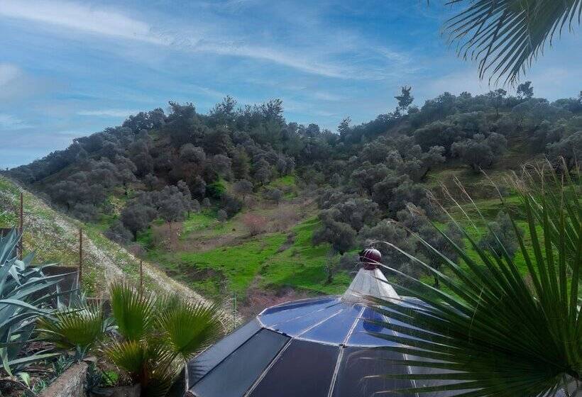 Elitium Thermal Hotel & Spa