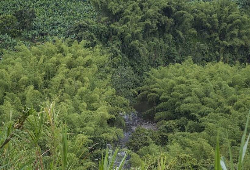 Finca Hotel Los Aperos