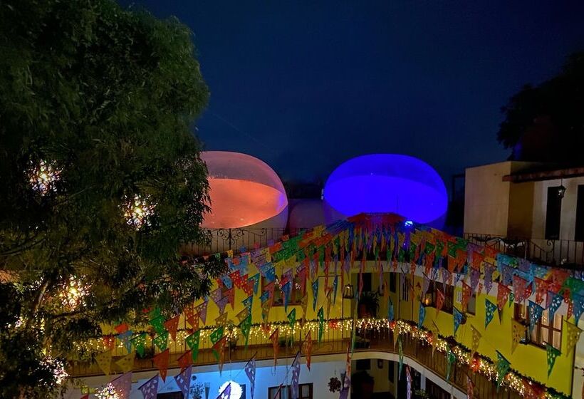 Glamping Amate   Hotel Burbuja