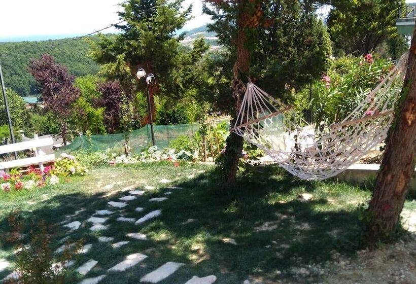 客栈  Agva Green Blue Otel