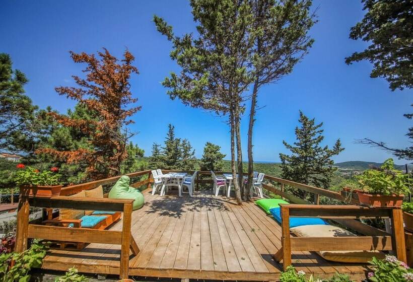 פונדק Agva Green Blue Otel