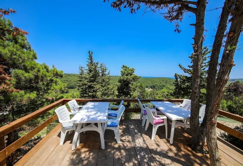 פונדק Agva Green Blue Otel