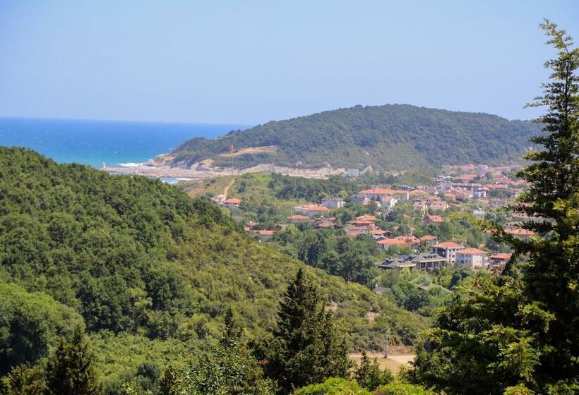 פונדק Agva Green Blue Otel