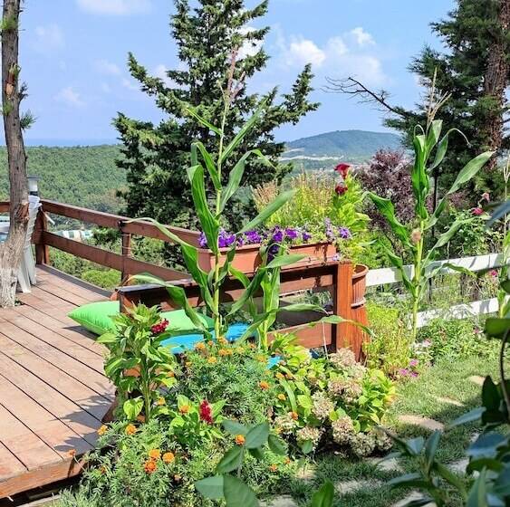 פונדק Agva Green Blue Otel