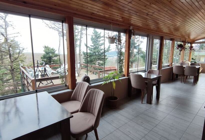 פונדק Agva Green Blue Otel