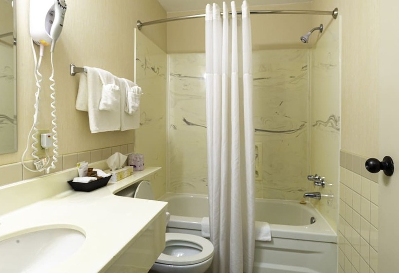 簡易ホテル The Guv’nor