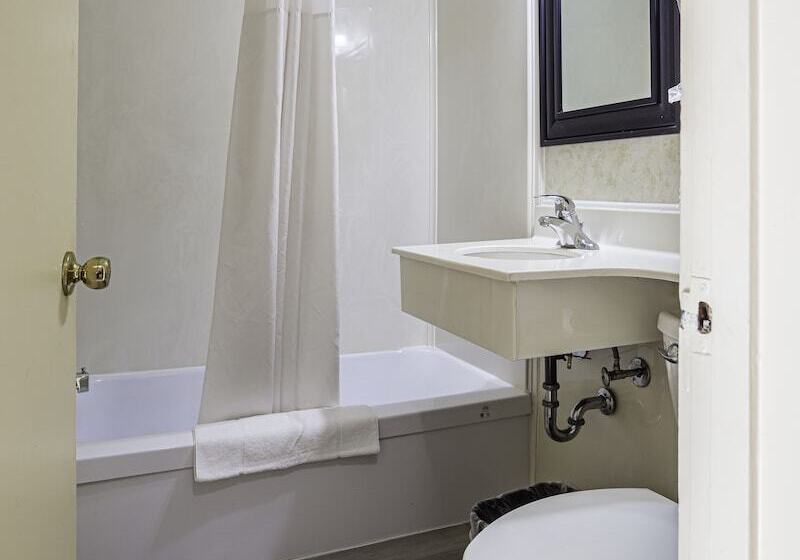 簡易ホテル The Guv’nor