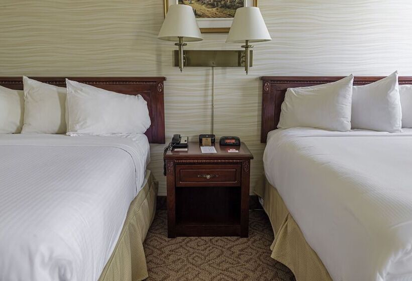 簡易ホテル The Guv’nor