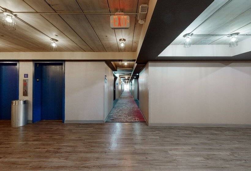 فندق Aggieland Boutique