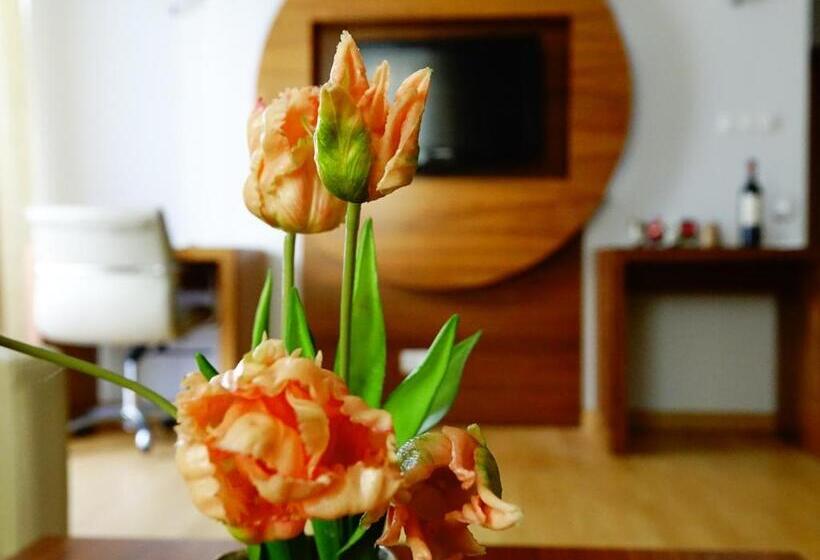 هتل Platinum Ostróda