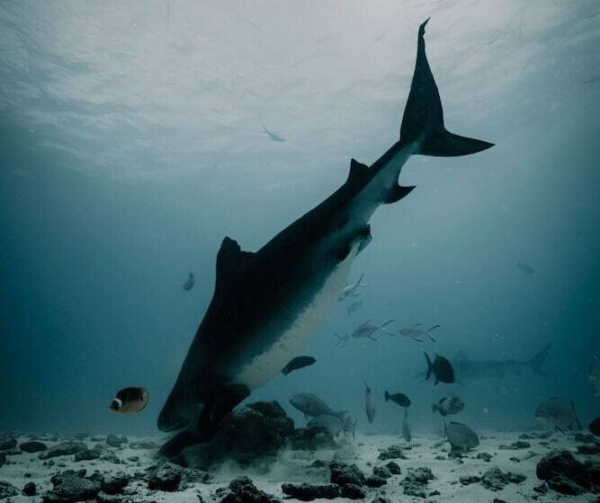 هتل Ataraxis Grand And Spa