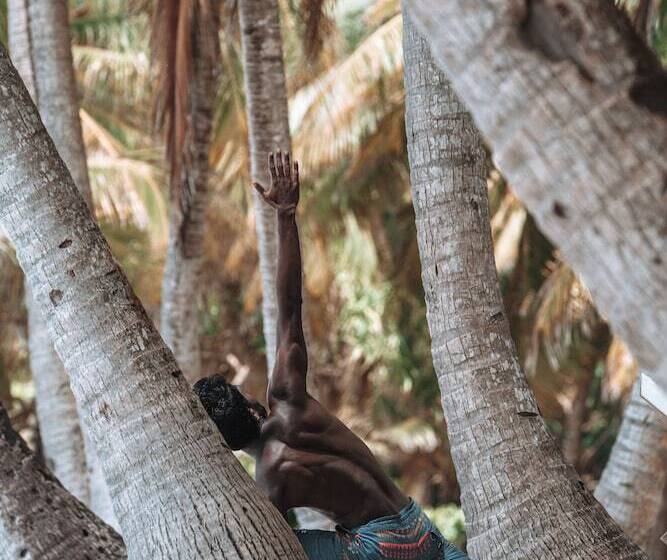 هتل Ataraxis Grand And Spa