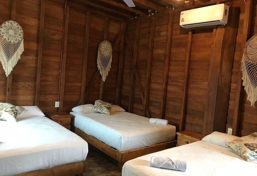 ホテル Cabañas Chac Mool Downtown