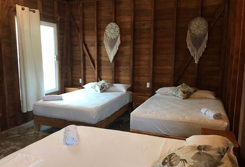 ホテル Cabañas Chac Mool Downtown