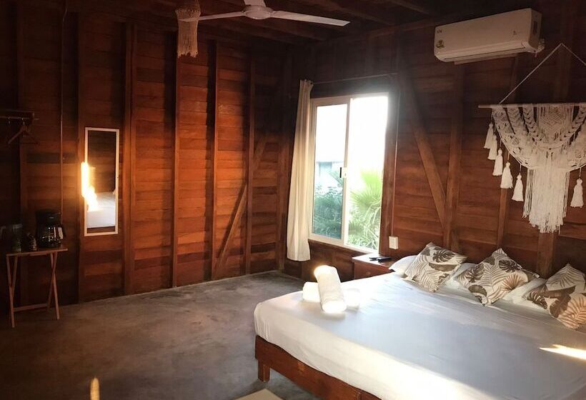 ホテル Cabañas Chac Mool Downtown