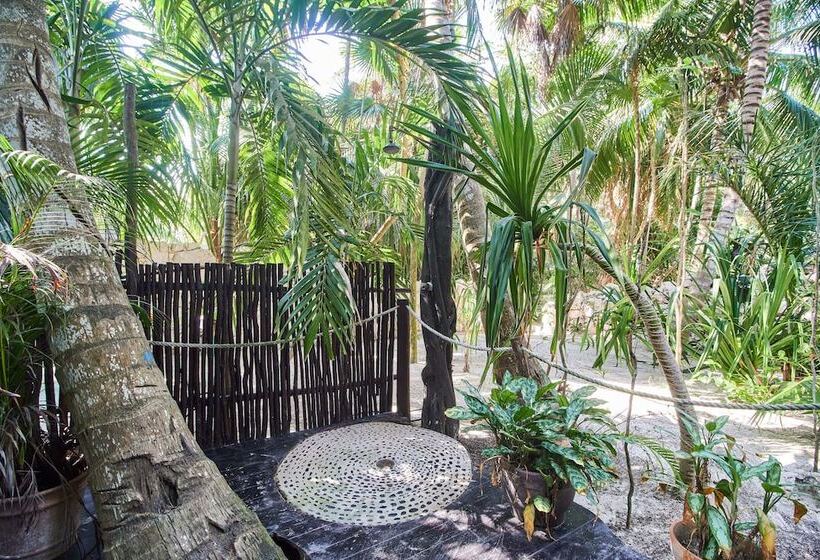 호텔 Cabañas La Luna