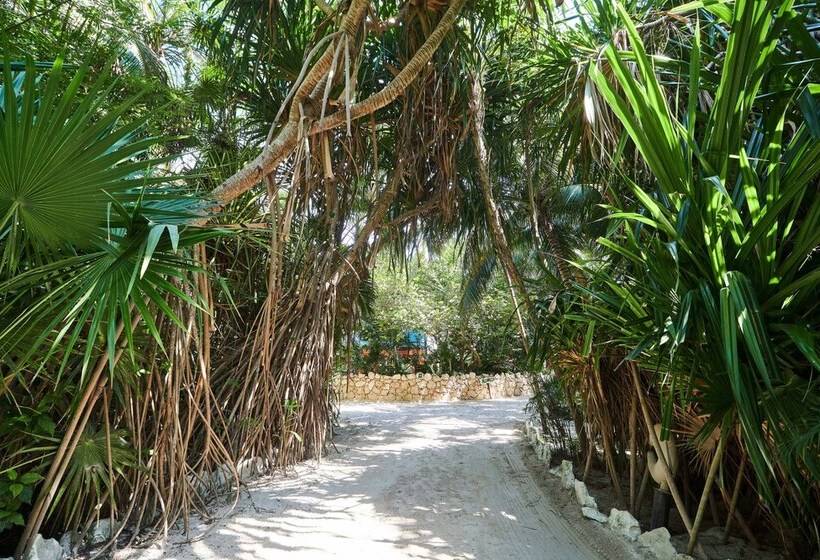 호텔 Cabañas La Luna