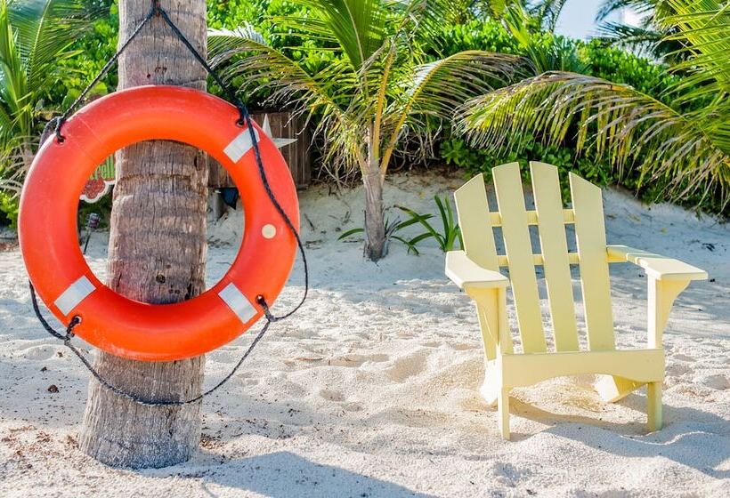 호텔 Cabañas La Luna