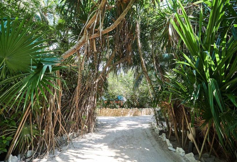 호텔 Cabañas La Luna