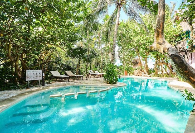 호텔 Cabañas La Luna