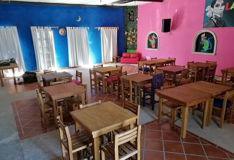 酒店 íkaro Suites Colonial