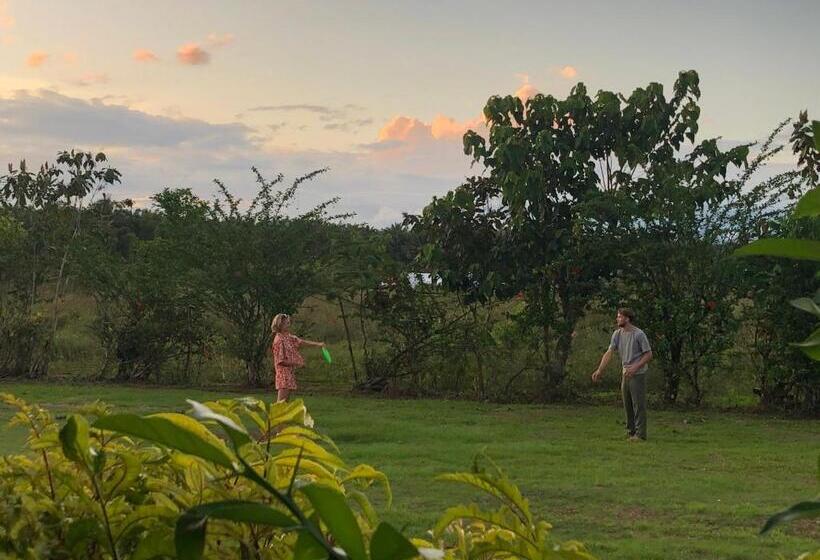 فندق Cocodrilo Sierpe