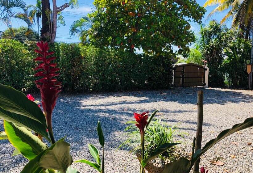 فندق Cocodrilo Sierpe