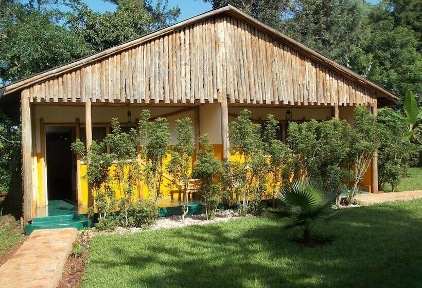 هتل Eden Rock Resort