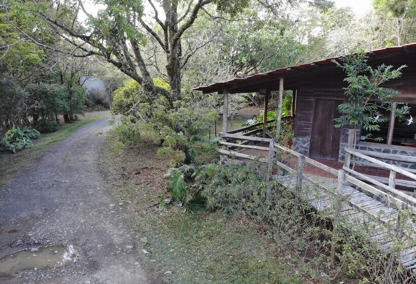 Отель El Bosque Lodging