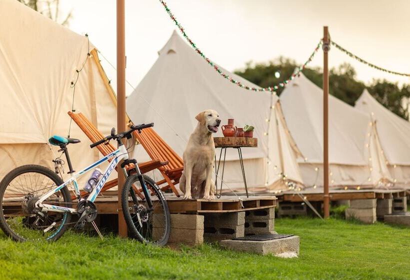 בית מלון כפרי Glamping Octli   Santuario De Las Luciernagas X Nantli Living