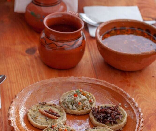 בית מלון כפרי Glamping Octli   Santuario De Las Luciernagas X Nantli Living