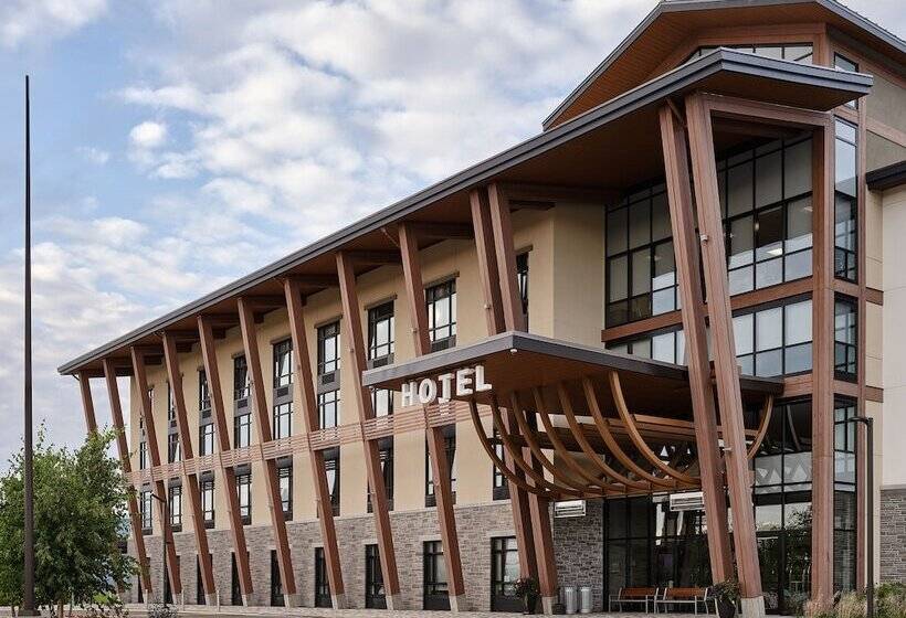 فندق Great Blue Heron