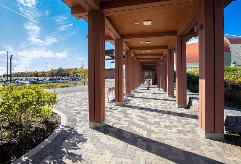 فندق Great Blue Heron