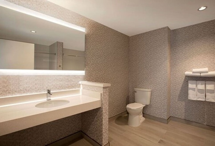 فندق Great Blue Heron