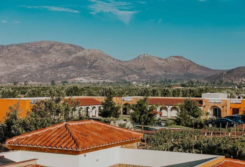 فندق Hacienda Los Olivos