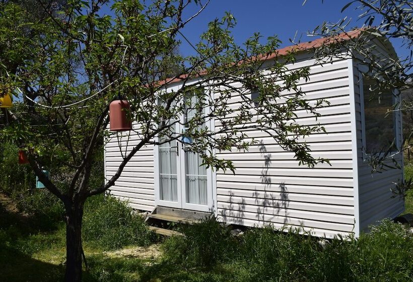 فندق Hayal Tadında