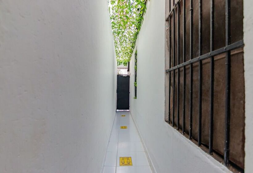 בית מלון כפרי Minita De Oro