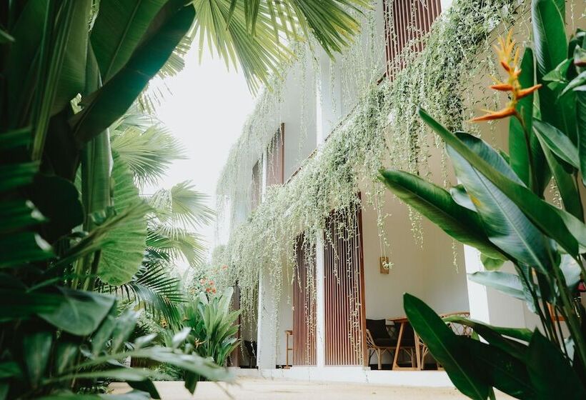 Porter Hotel   Surf & Yoga Retreat