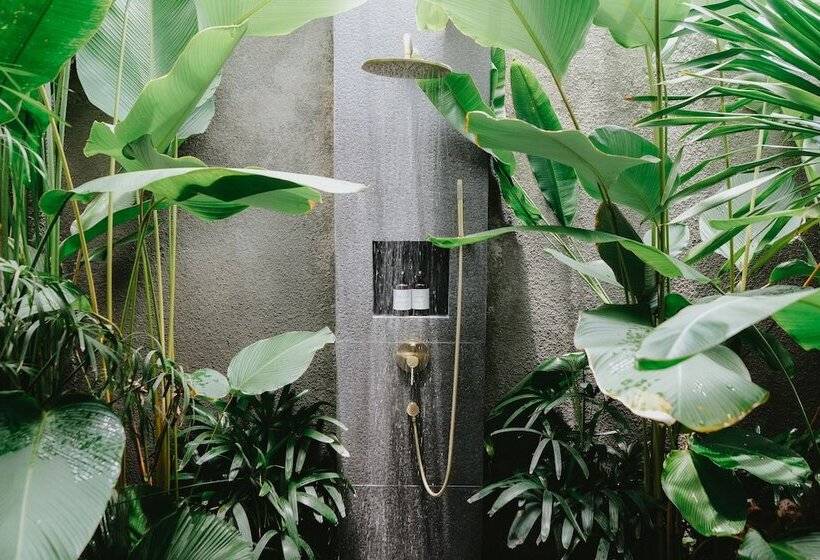 Porter Hotel   Surf & Yoga Retreat