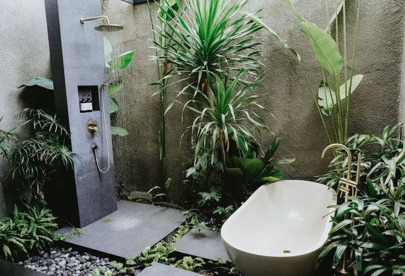 Porter Hotel   Surf & Yoga Retreat