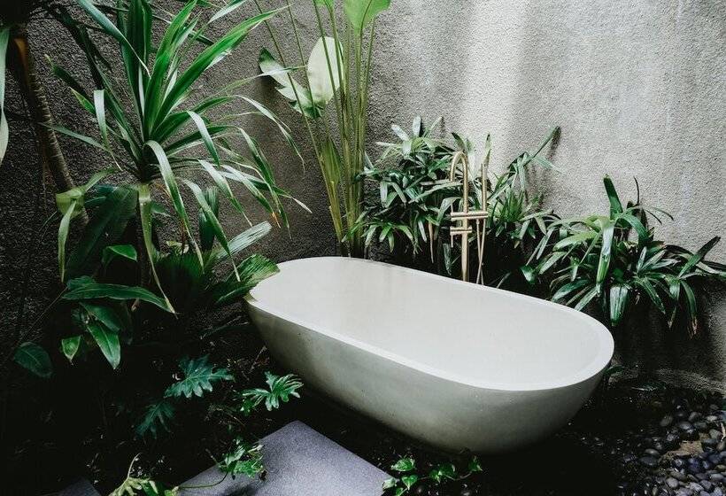 Porter Hotel   Surf & Yoga Retreat