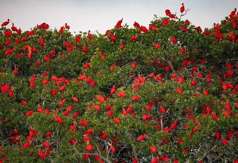 فندق Pousada Sonho De Mar