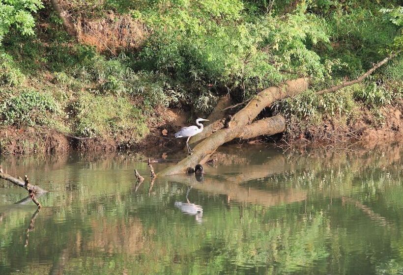 فندق River Wellness Lodge